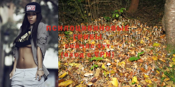 кокаин Бородино