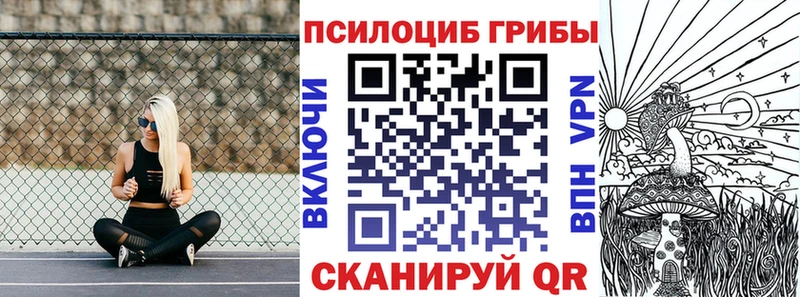 мега   хочу наркоту  Спасск-Дальний  Галлюциногенные грибы ЛСД 
