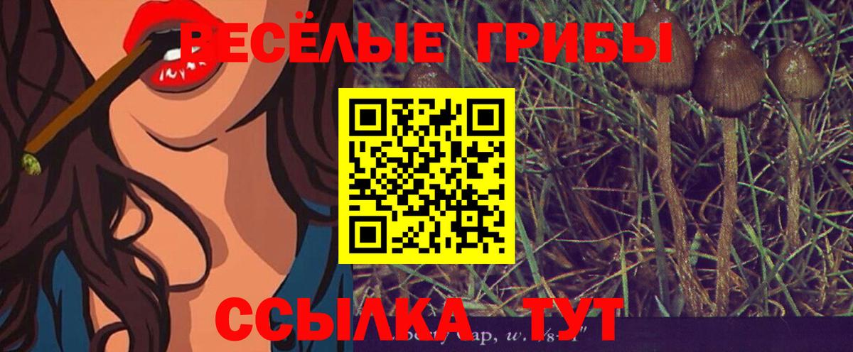 Псилоцибиновые грибы мицелий Спасск-Дальний