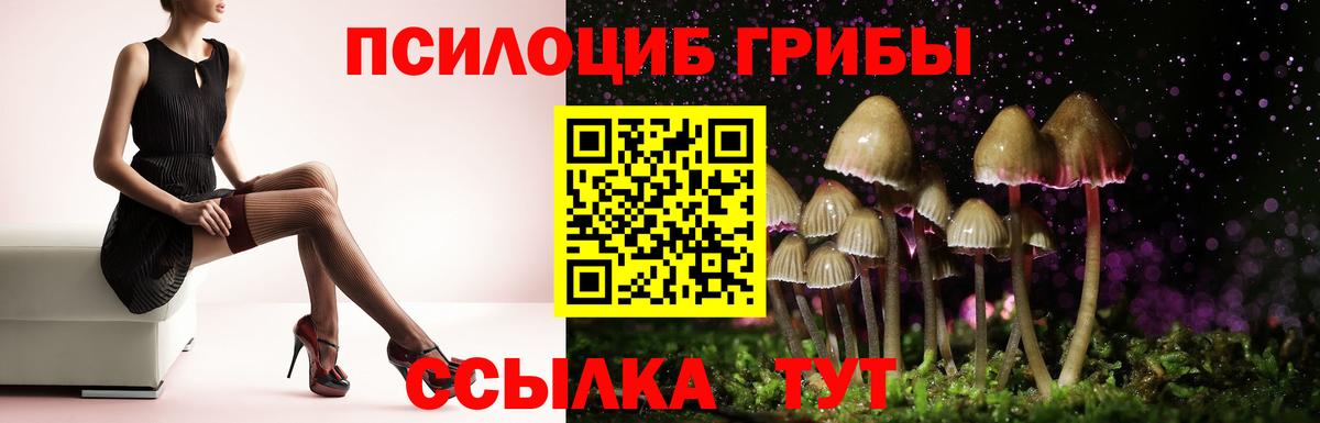 Галлюциногенные грибы мухоморы  Вход с VPN  продажа наркотиков  Галлюциногенные грибы GOLDEN TEACHER  Спасск-Дальний 