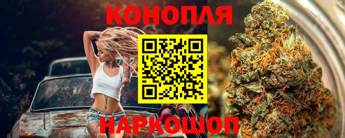 Альфа ПВП Спасск-Дальний